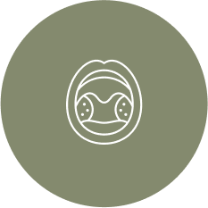 Amigdalectomia: