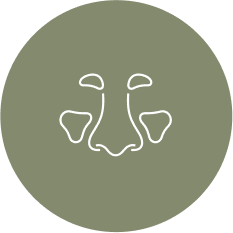 Sinusectomia: