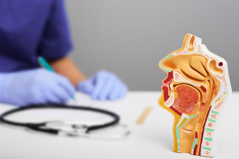 Médico escrevendo ao fundo, e em destaque um molde anatômico da face humana